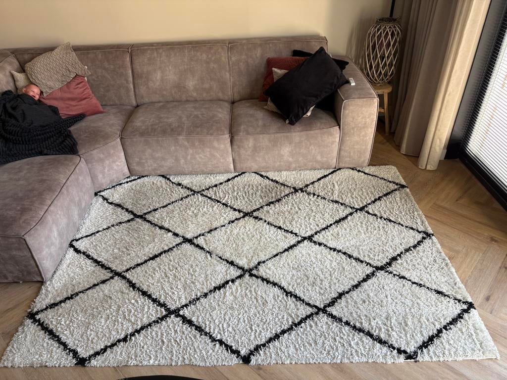 beige Ruit vloerkleed 230x160, Huis en Inrichting, Stoffering | Tapijten en Kleden, Beige, 200 cm of meer, Ophalen of Verzenden
