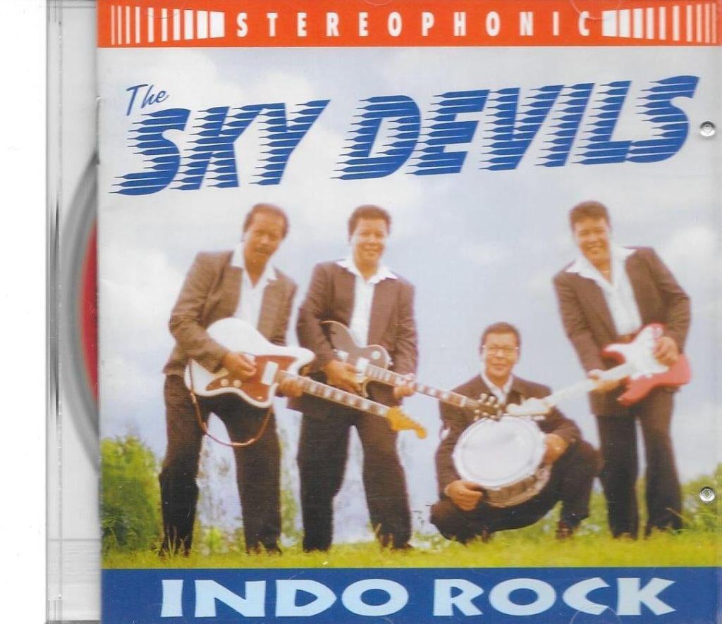 CD The Sky Devils, Cd's en Dvd's, Cd's | Rock, Gebruikt, Poprock, Ophalen of Verzenden