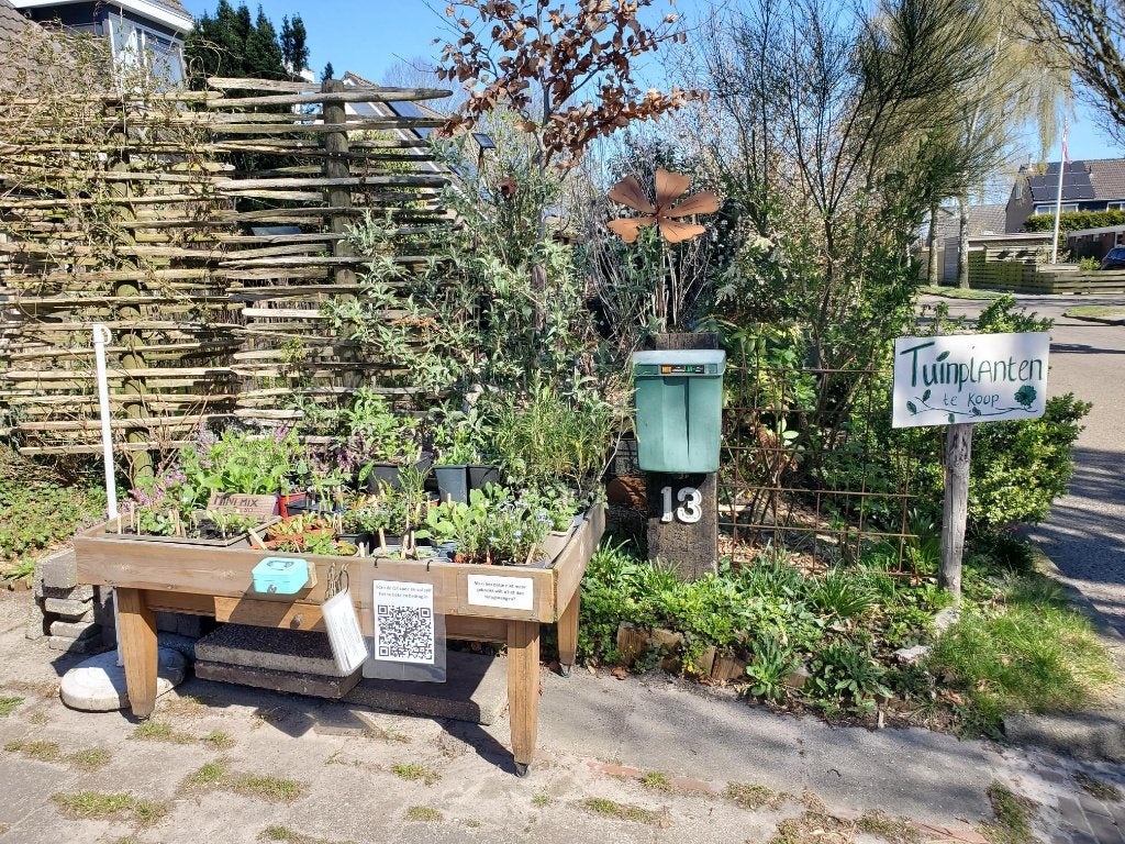 Tuinplanten - weer open!, Vaste plant, Halfschaduw, Zomer, Ophalen