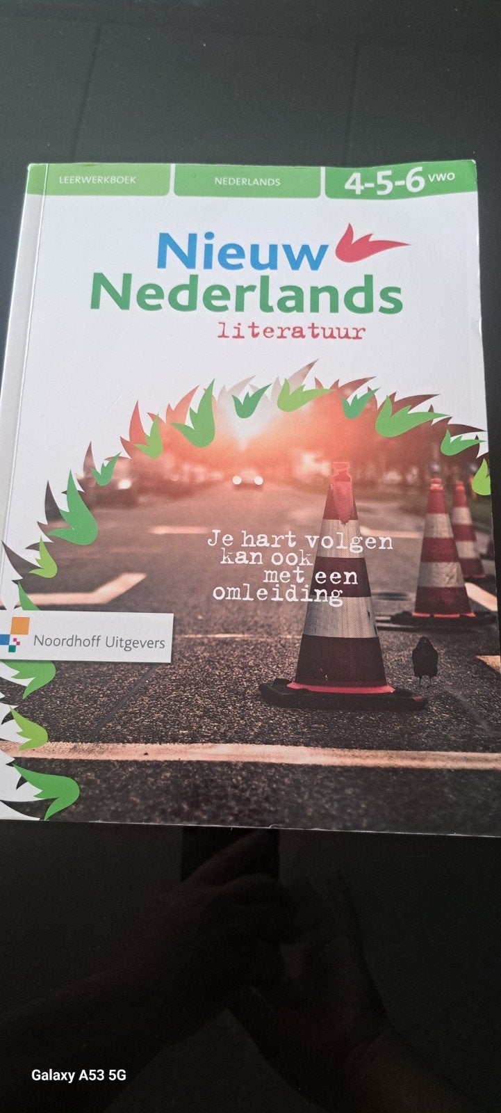 Nieuw Nederlands Literatuur 4-5-6 VWO Leerwerkboek, Ophalen of Verzenden, Zo goed als nieuw, VWO, Nederlands