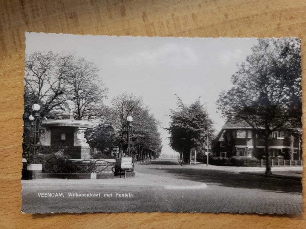 ansicht VEENDAM Wilkensstraat, Verzamelen, Ansichtkaarten | Nederland, Groningen, Voor 1920, Ophalen of Verzenden