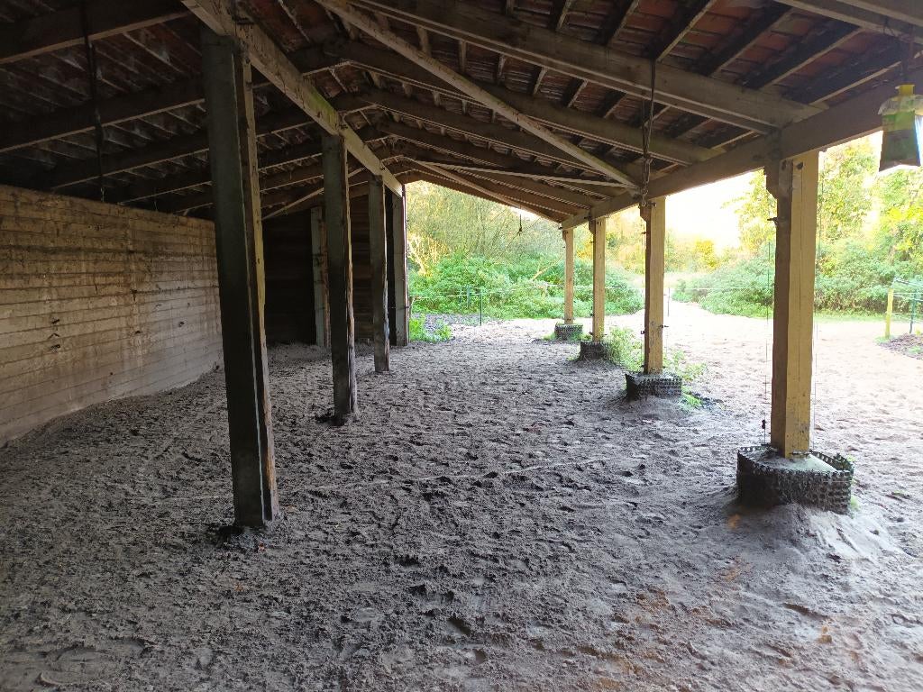 Stalling en weidegang, Weidegang, 2 of 3 paarden of pony's