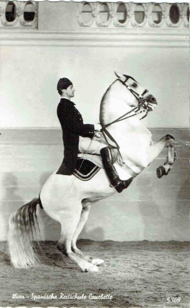 Oostenrijk Wenen  Spaanse Rijschool Paarden, Verzenden, 1940 tot 1960, Ongelopen, Sport en Spel