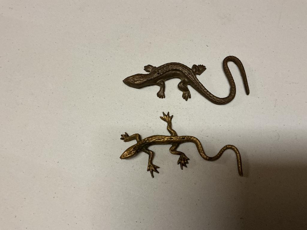 Koperen krokodil en salemander, Ophalen