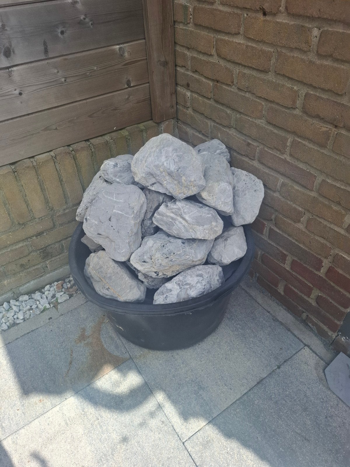 Keien, Dieren en Toebehoren, Vissen | Aquaria en Toebehoren, Ophalen, Plant(en), Steen of Hout