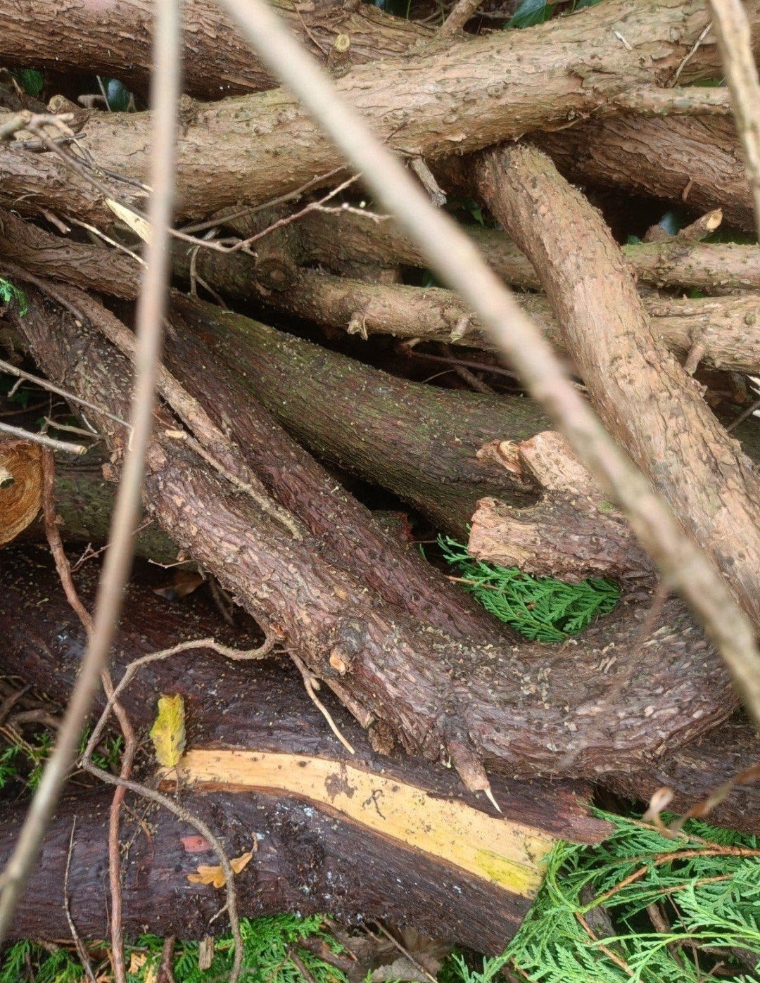 GRATIS HOUT BRANDHOUT STOOKHOUT OPENHAARDHOUT, Ophalen of Verzenden