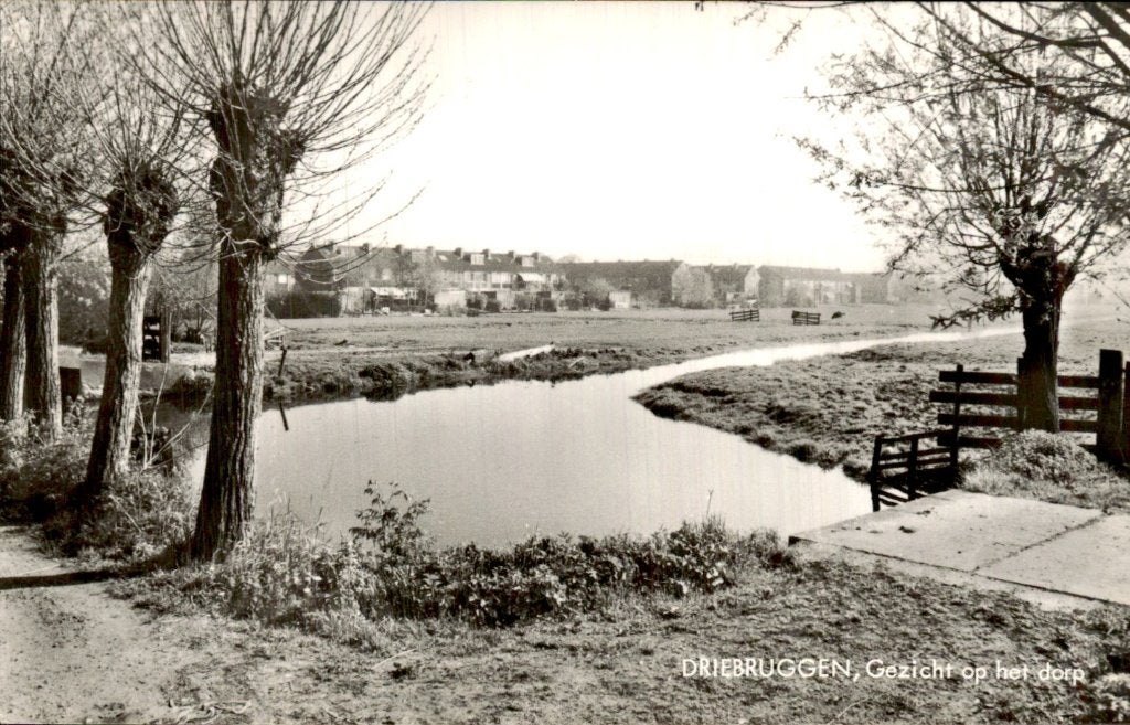 Driebruggen - Dorp - Gezicht op het dorp, Ophalen of Verzenden, 1960 tot 1980, Ongelopen, Zuid-Holland