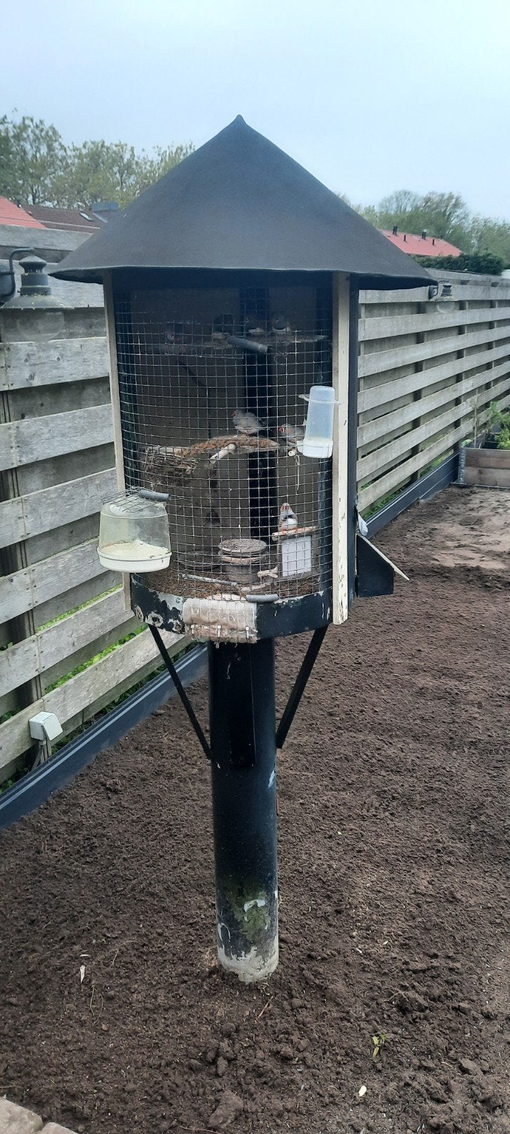 vogelkooi, Ophalen, Gebruikt, Overige materialen, Vogelkooi