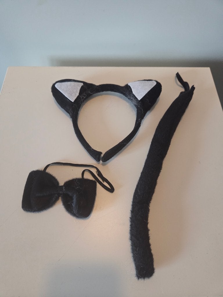Katten verkleedset, halloween, Ophalen of Verzenden, Zo goed als nieuw, 170 of groter, Jongen of Meisje