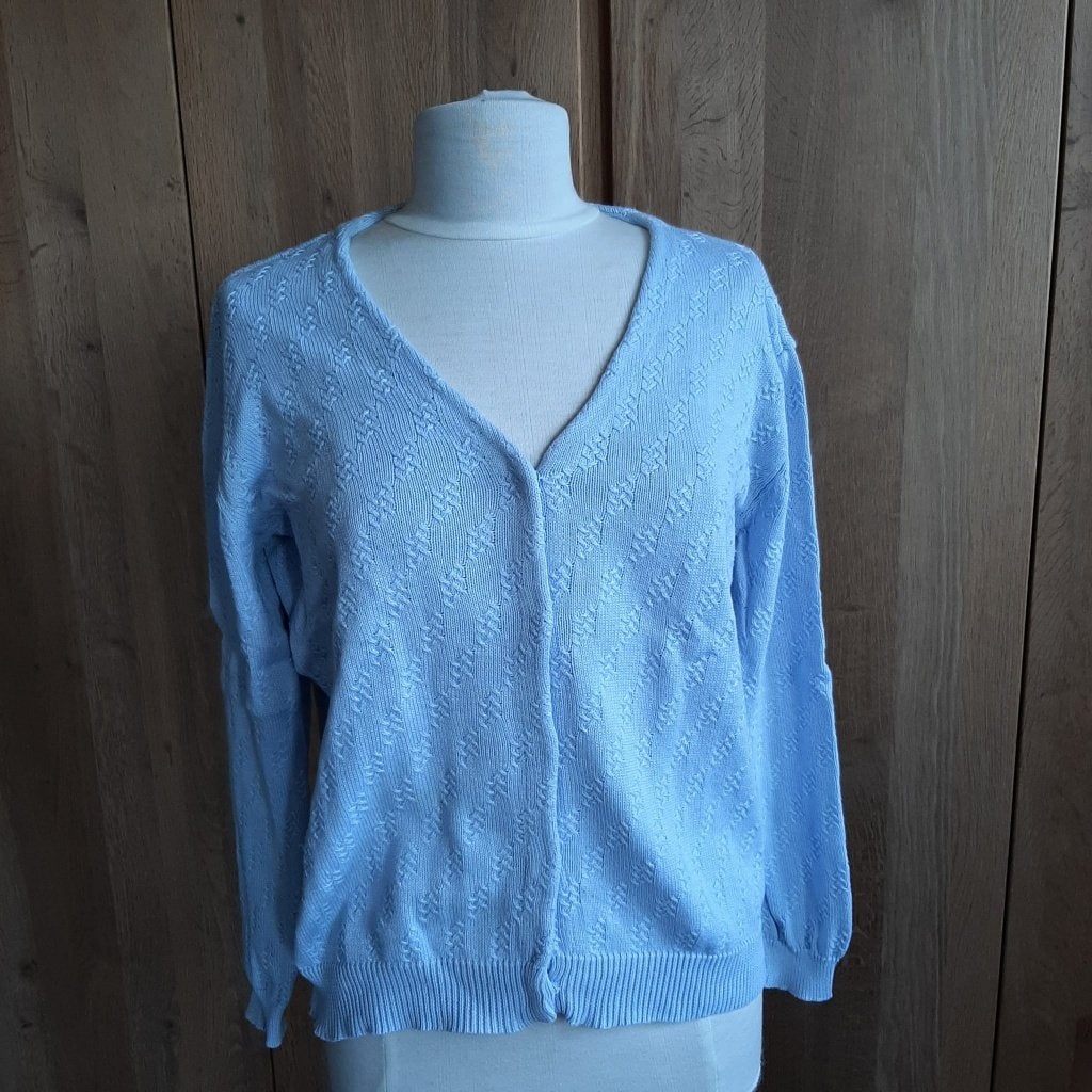 Peter Hahn lichtblauw gebreid vest, maat 42, Blauw, Maat 42/44 (L), Ophalen of Verzenden, Peter Hahn