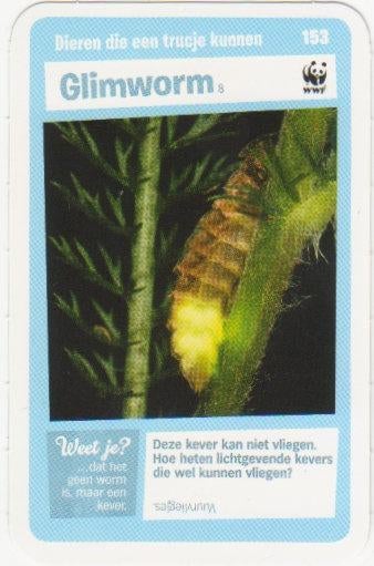 Super dieren no.153 Glimworm [2762]  [VeOvSu], Verzamelen, Albert Heijn, Ophalen of Verzenden