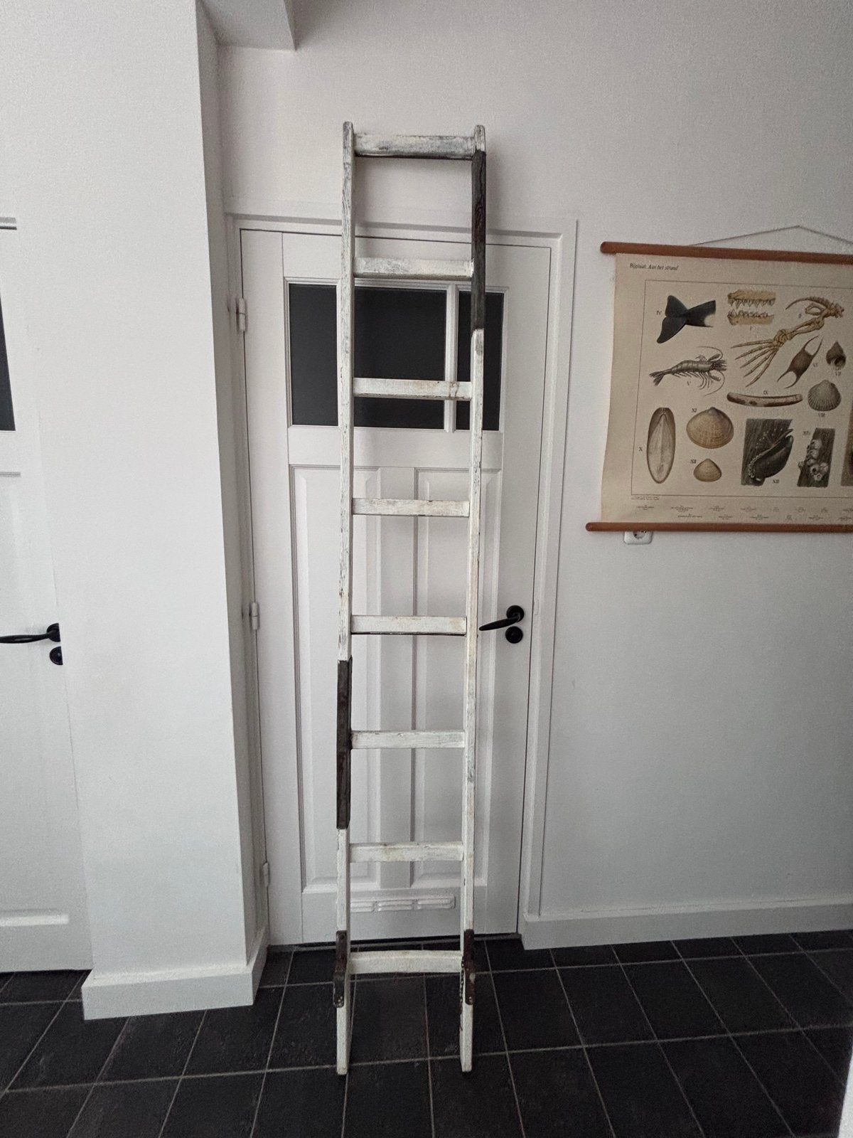 Oude houten plukladder - Decoratieve ladder, Ophalen, Gebruikt, Ladder, 2 tot 4 meter
