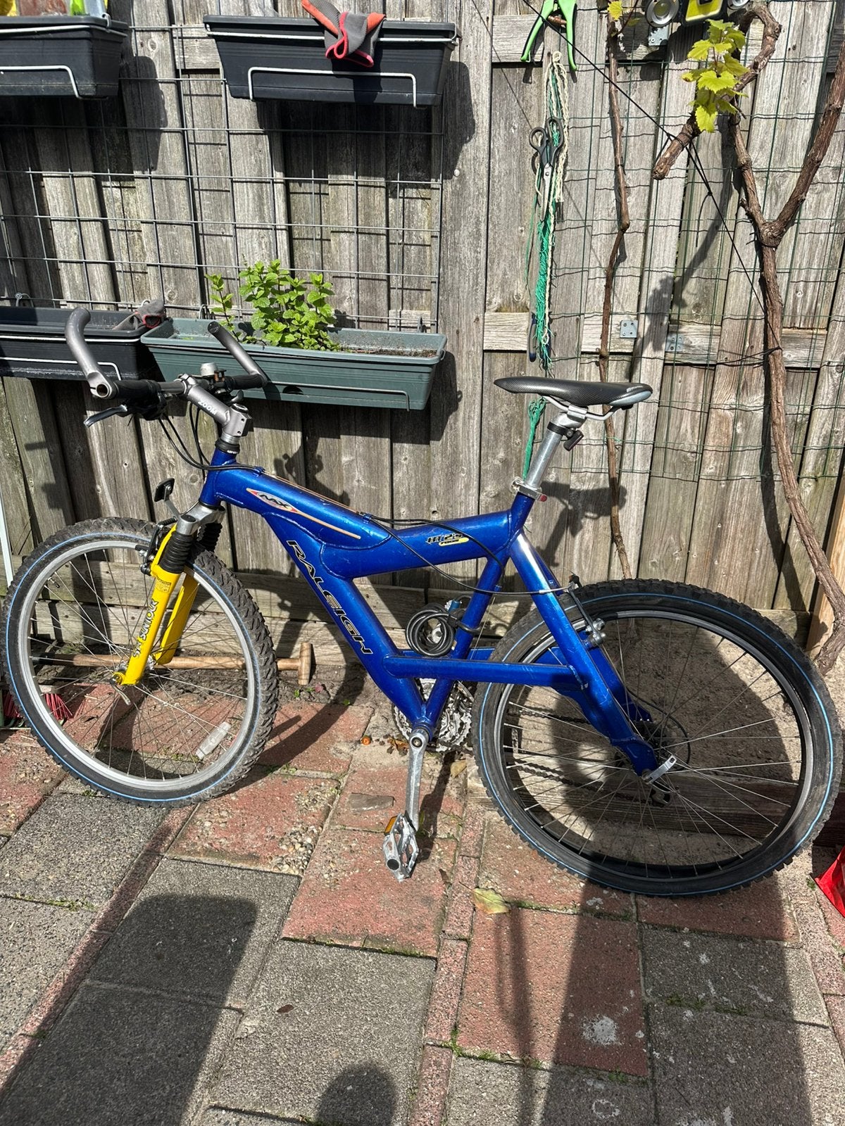 Raleigh Mountainbike – 24 versnellingen (3 x 8) – MTB, Ophalen, Zo goed als nieuw, Heren, Overige merken