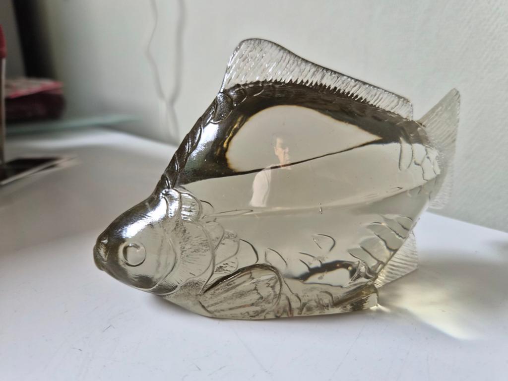 Kosta Boda WWF Karper van Paul Hoff - Gesigneerd Glas, Ophalen of Verzenden