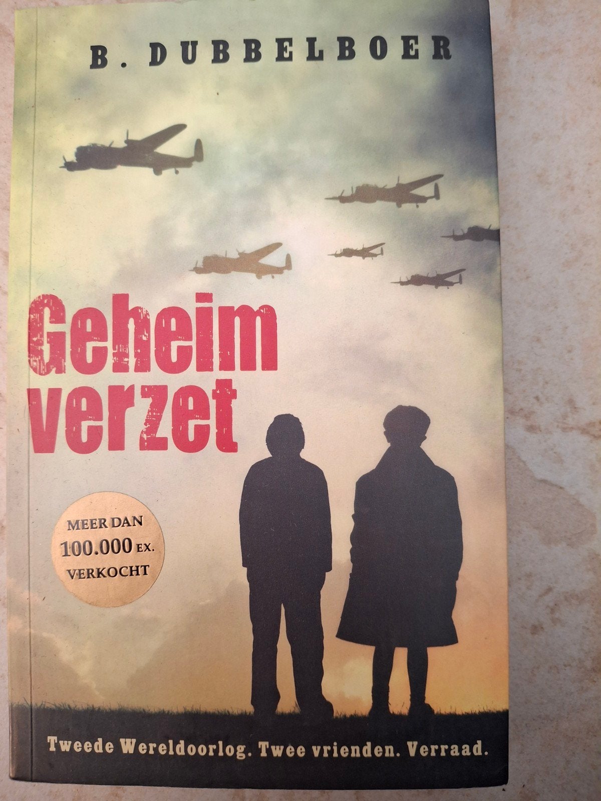 B. Dubbelboer - Geheim verzet, Boeken, Ophalen of Verzenden, Zo goed als nieuw, B. Dubbelboer
