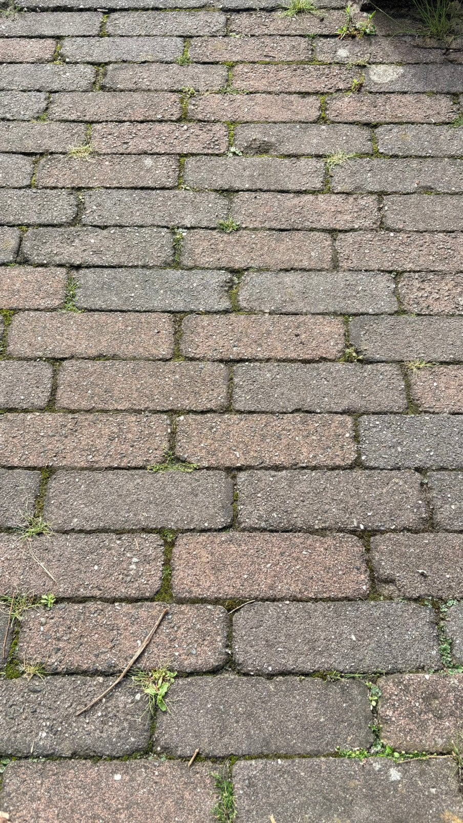 Gratis  klinkers, Ophalen, Gebruikt, Beton, Klinkers