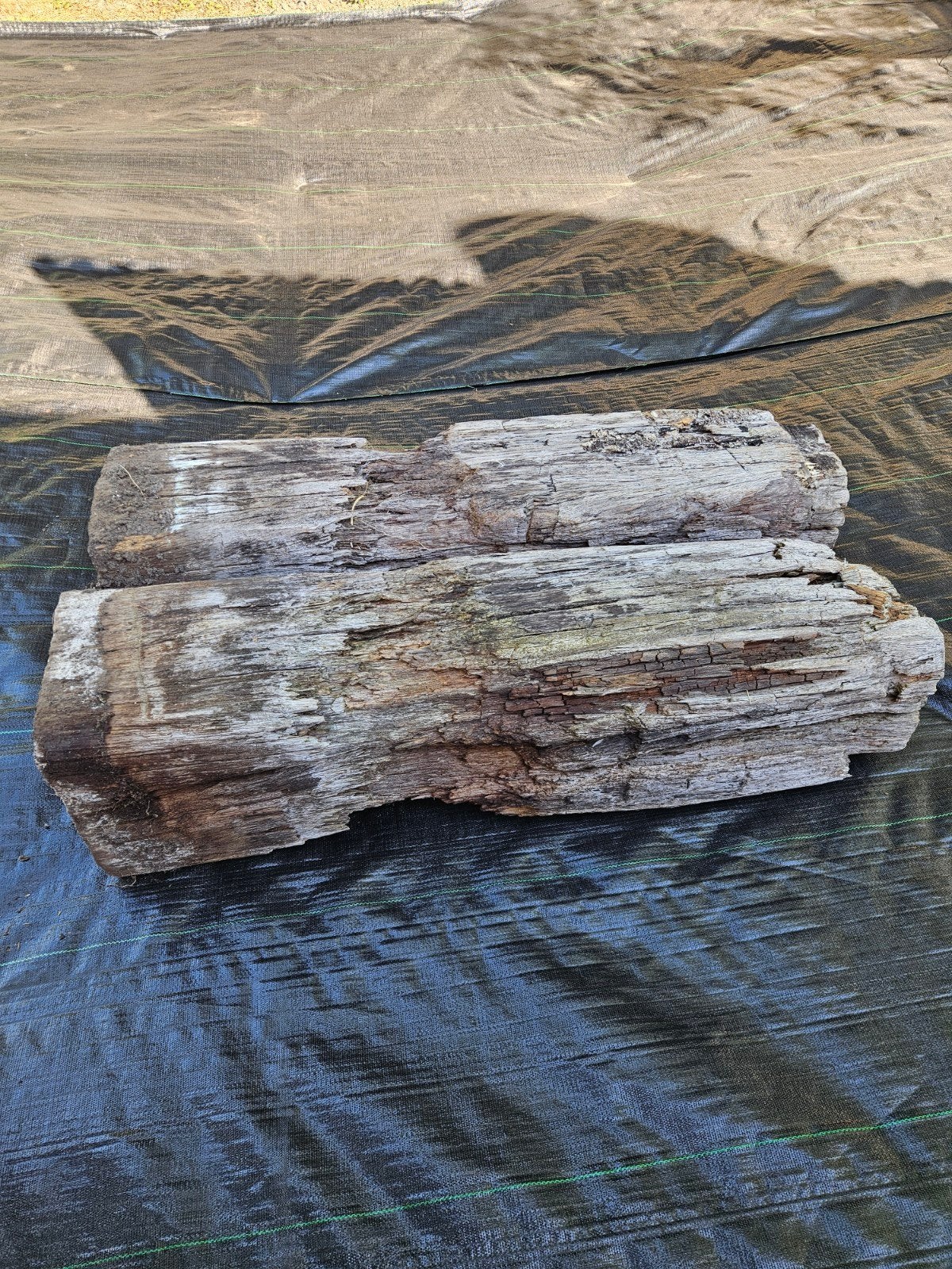 Oude houten meerpalen, Doe-het-zelf en Verbouw, Hout en Planken, Ophalen, Gebruikt, 50 mm of meer, Balk