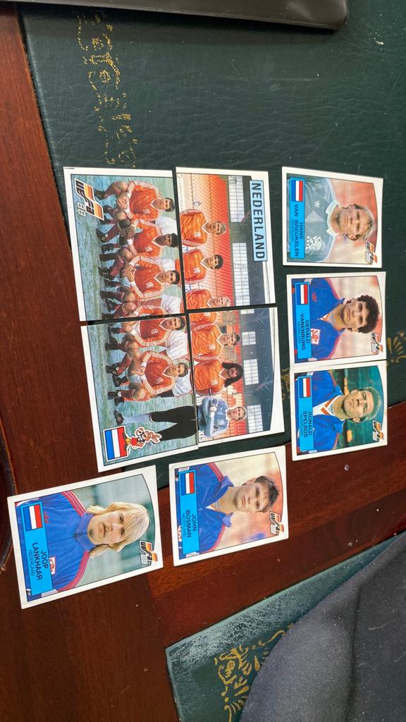 Panini euro 88 Nederlandse, Ophalen of Verzenden, Zo goed als nieuw, Buitenlandse clubs, Poster, Plaatje of Sticker