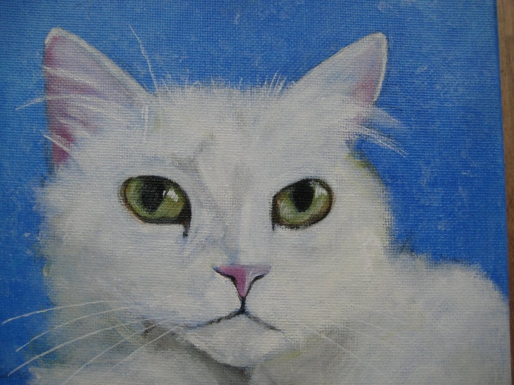 Schilderijtje witte kat, 20 x 20 cm, Huis en Inrichting, Woonaccessoires | Schilderijen, Tekeningen en Foto's, Ophalen, Minder dan 50 cm