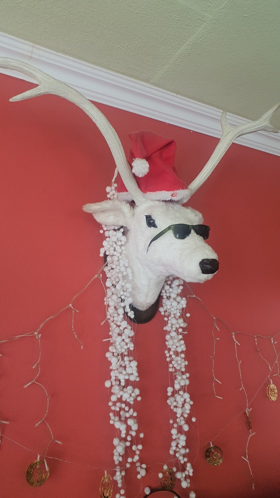 Oryxkop, Ophalen of Verzenden