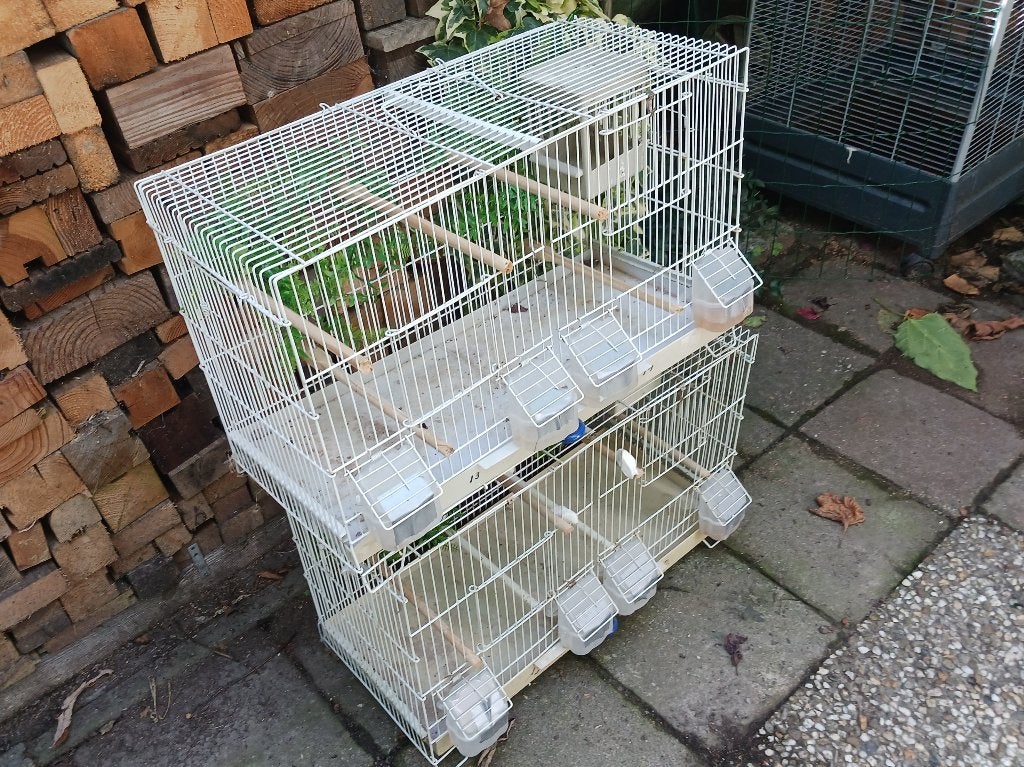Draadkooi x2 incl bakjes, stokken, nestkastje, Ophalen, Gebruikt, Metaal, Broedkooi of Kweekkooi