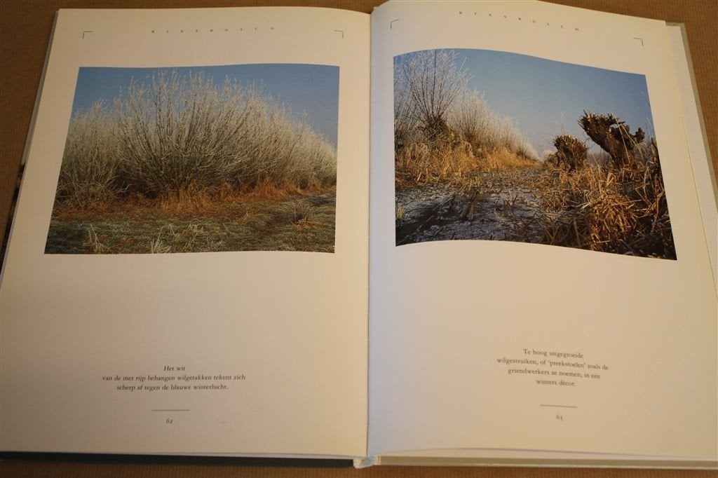 De Biesbosch in beeld. Foto\'s en tekst., Ophalen of Verzenden, Gelezen, Natuur algemeen