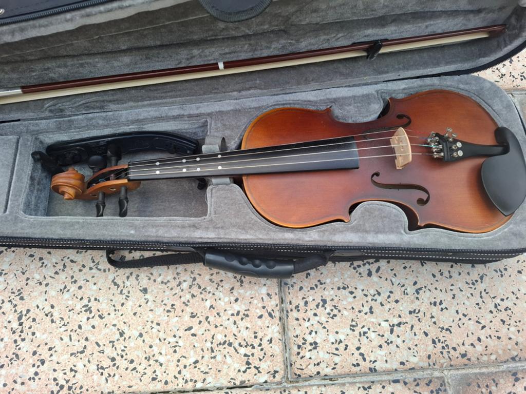 NIEUW Viool in draagkoffer, Ophalen of Verzenden, 4/4-viool, Met koffer, Viool