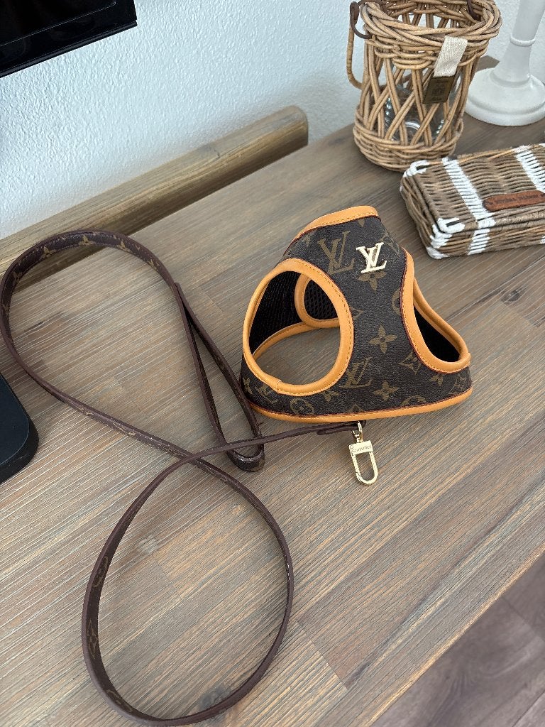 Honden tuigje met riem, Dieren en Toebehoren, Ophalen, Zo goed als nieuw, Hondenriem-accessoire