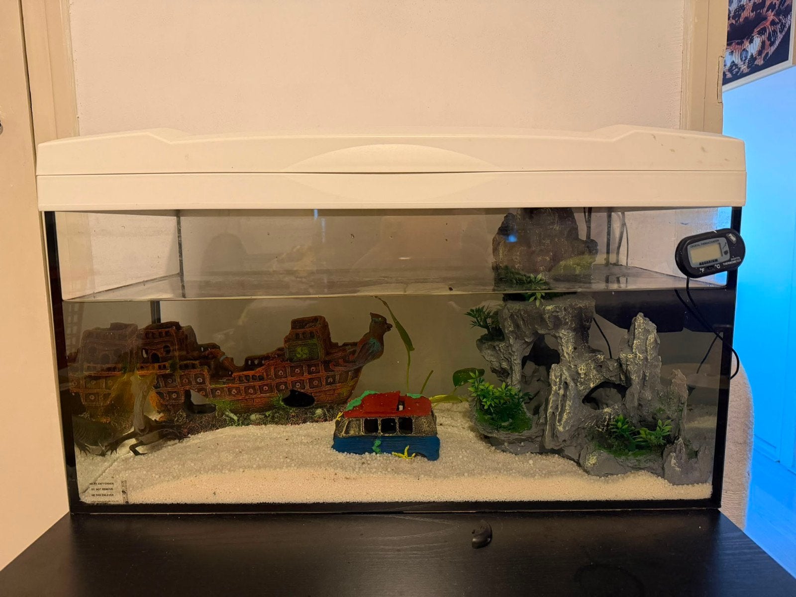 axolotl met toebehoren., Ophalen, Zo goed als nieuw, Aquariummeubel