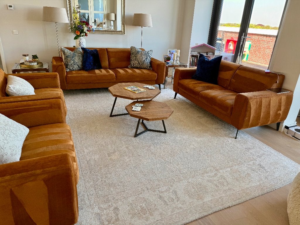 SAFAVIEH Maharaja Collection Rug (vloerkleed) 274 x 366 cm, Ophalen, Gebruikt, Grijs, Vintage