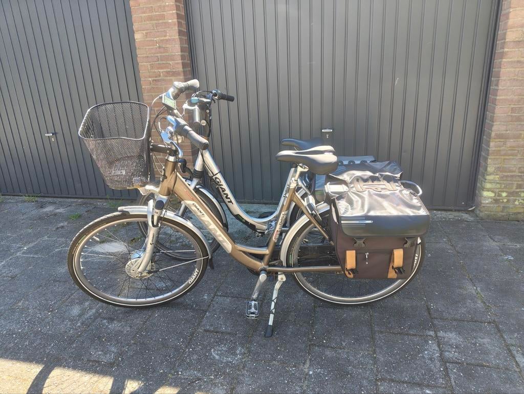 Setje giant twist go double power e-bikes met 2 accu's (36v), Ophalen of Verzenden, Zo goed als nieuw, Minder dan 10 versnellingen