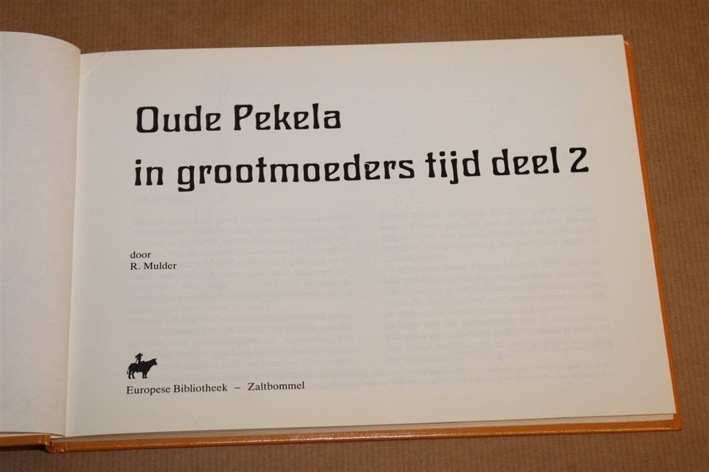Oude Pekela in grootmoeders tijd — Deel 2, Fotoboek 1993, Boeken, Ophalen of Verzenden, Gelezen