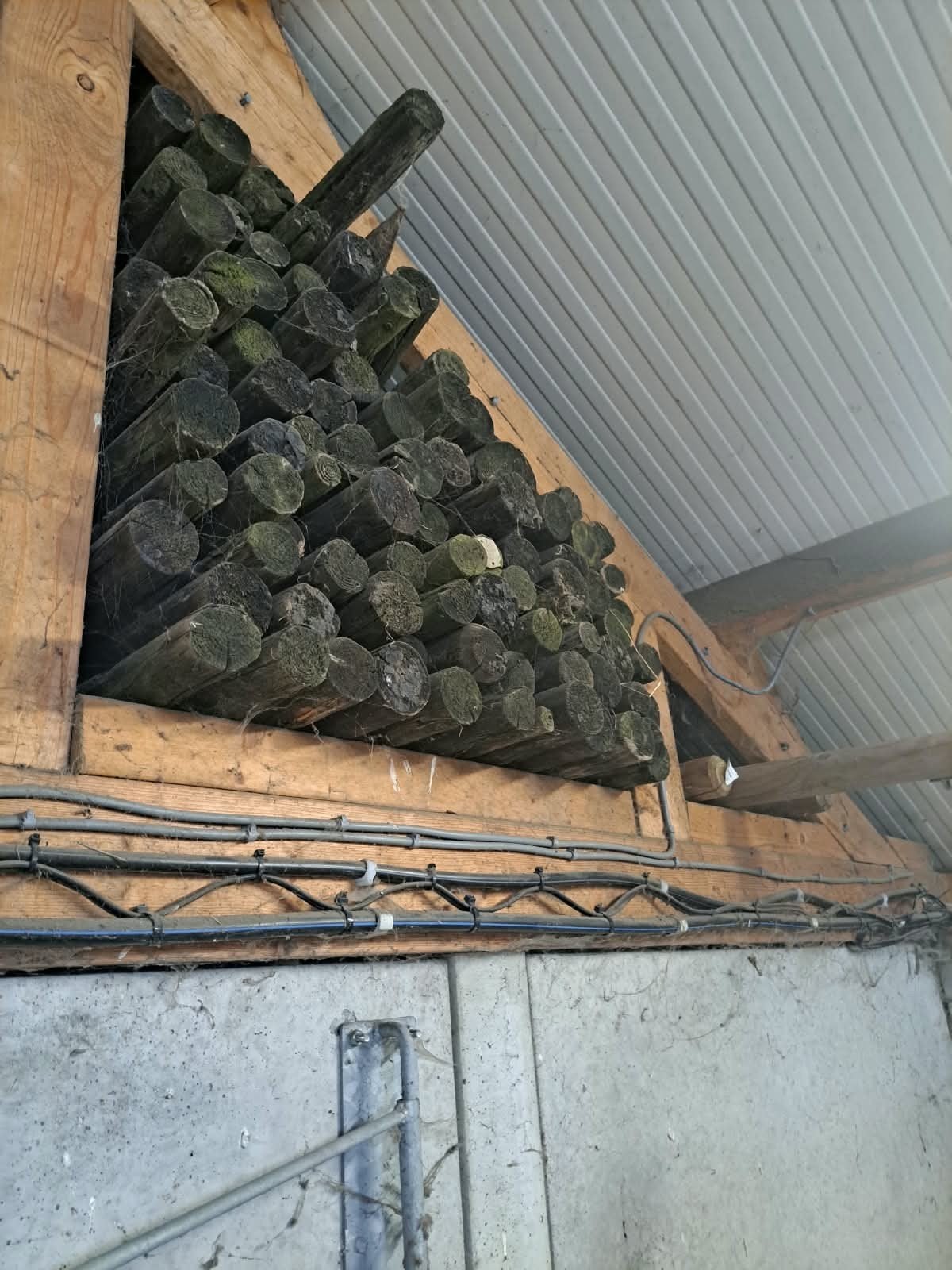 Geimpregneerde (weide)palen., Ophalen, Gebruikt, 250 cm of meer, Palen