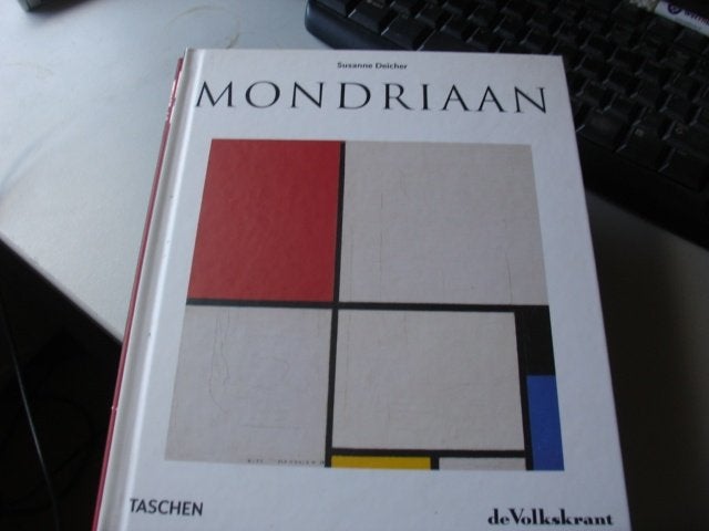 piet mondriaan, Boeken, Ophalen of Verzenden, Zo goed als nieuw, Schilder- en Tekenkunst