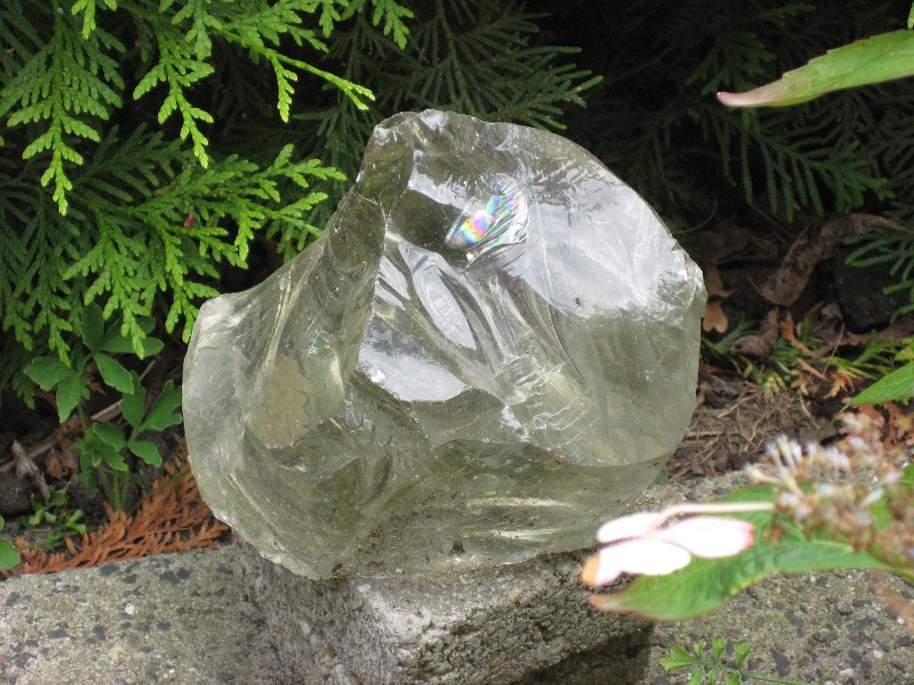 glas slak, Ophalen of Verzenden, Overige typen