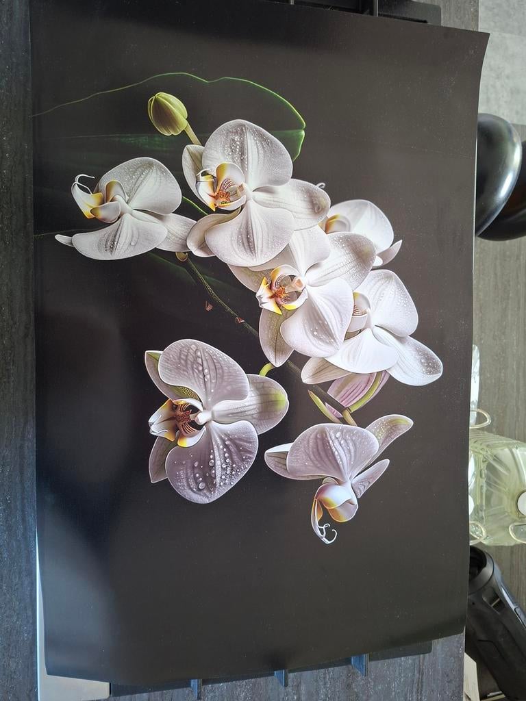 Te koop Inductie Beschermer, Ophalen of Verzenden