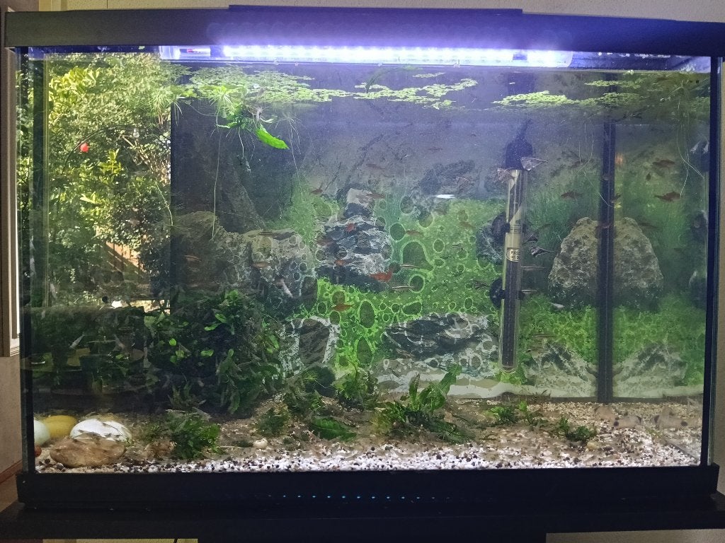 Aquarium met meubel en toebehoren, Ophalen, Pomp, Zo goed als nieuw, Gevuld zoetwateraquarium