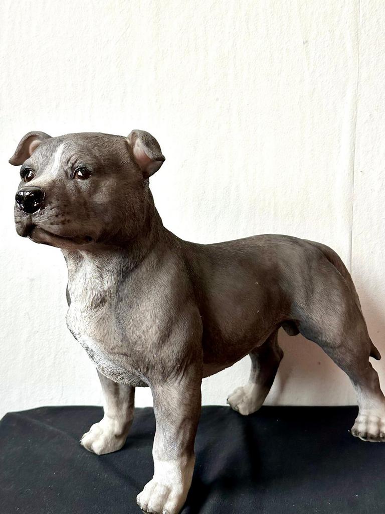 Groot beeld Staffordshire Bull terriēr, Verzamelen, Beelden en Beeldjes, Nieuw, Dier, Ophalen of Verzenden