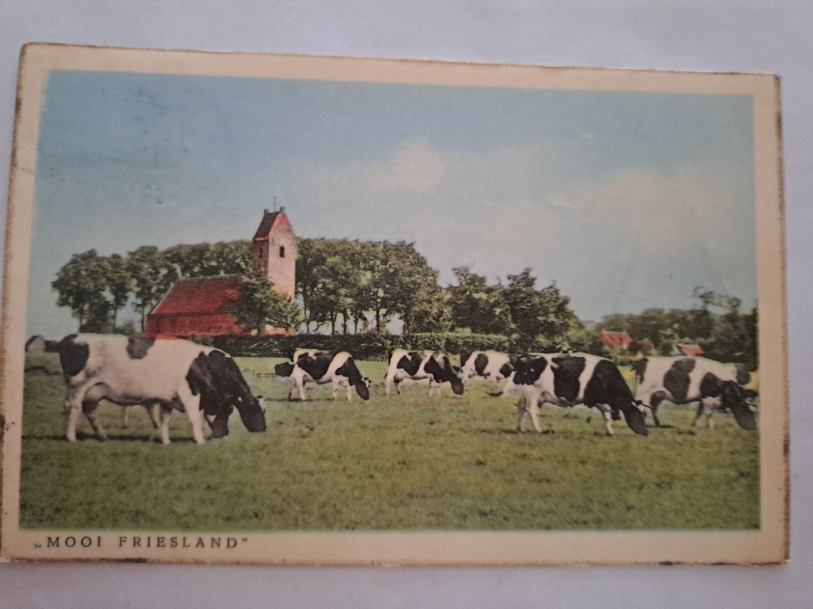 mooi Friesland, Ophalen of Verzenden, Friesland
