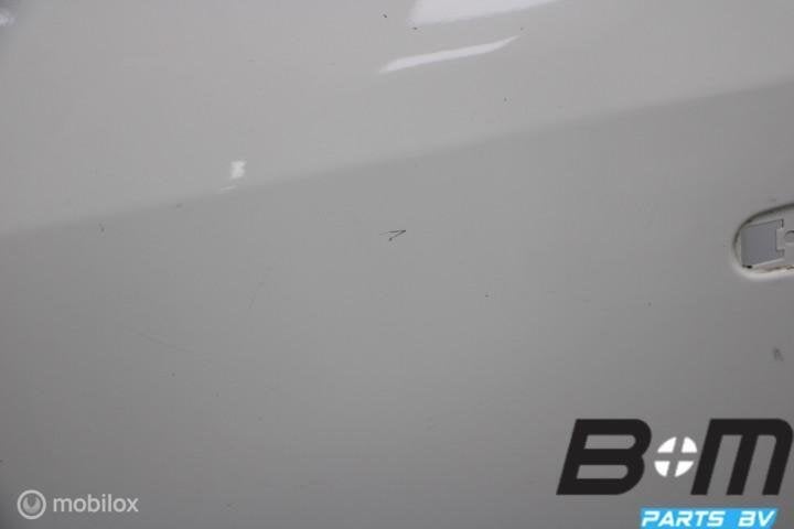 Portier links VW Caddy 2K 2005 2K0831055B, Gebruikt