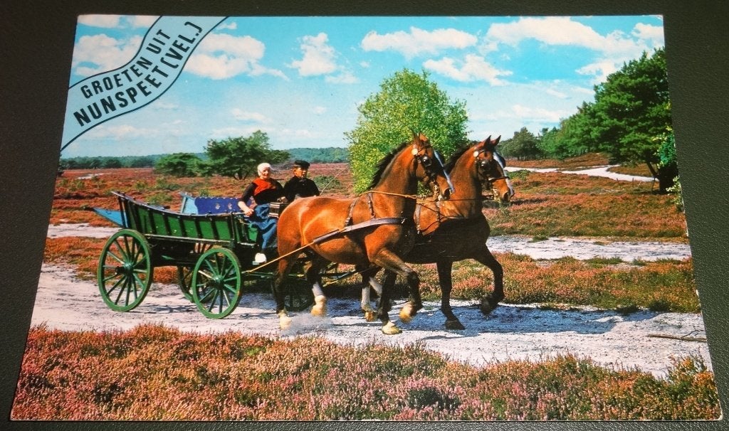 Paarden - In de boerenkar - Nunspeet - KHo03, Verzenden, 1980 tot heden, Gelopen, Paard