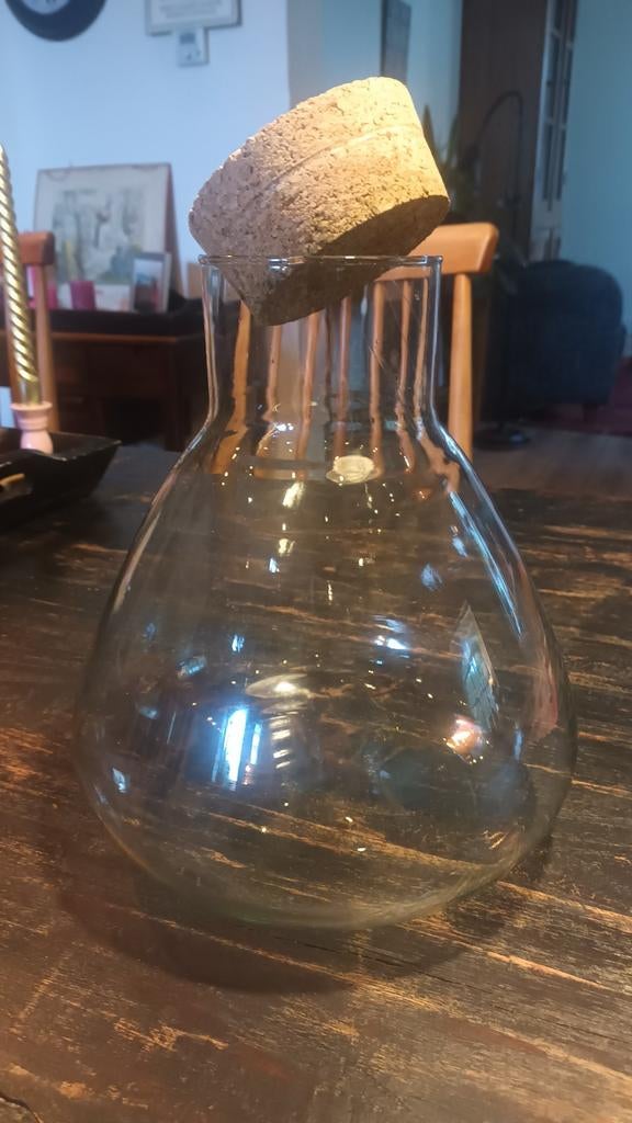 Glazen terrarium pot / fles kamerplanten, Huis en Inrichting, Kamerplanten, Ophalen, Overige soorten, Halfschaduw, In pot