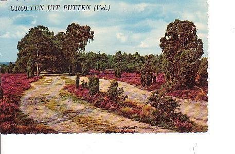 Ansichtkaart 	Putten	Heide, Verzenden, 1960 tot 1980, Gelopen, Gelderland