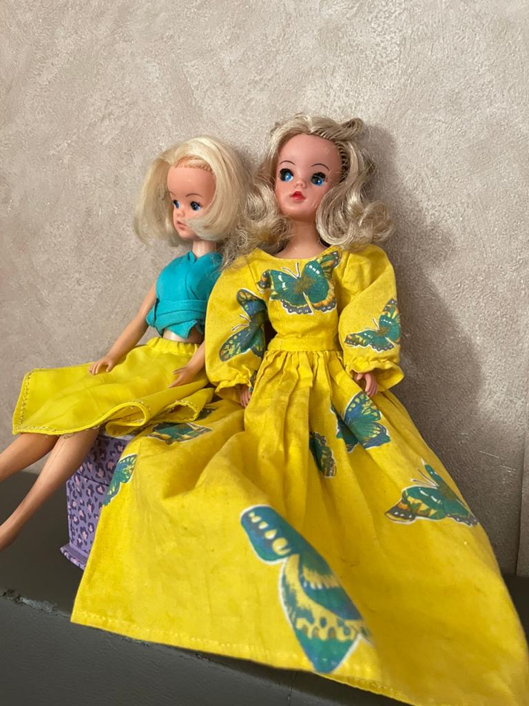 Sindy Pedigree met  een hard hoofd en Sindy, Ophalen of Verzenden, Zo goed als nieuw