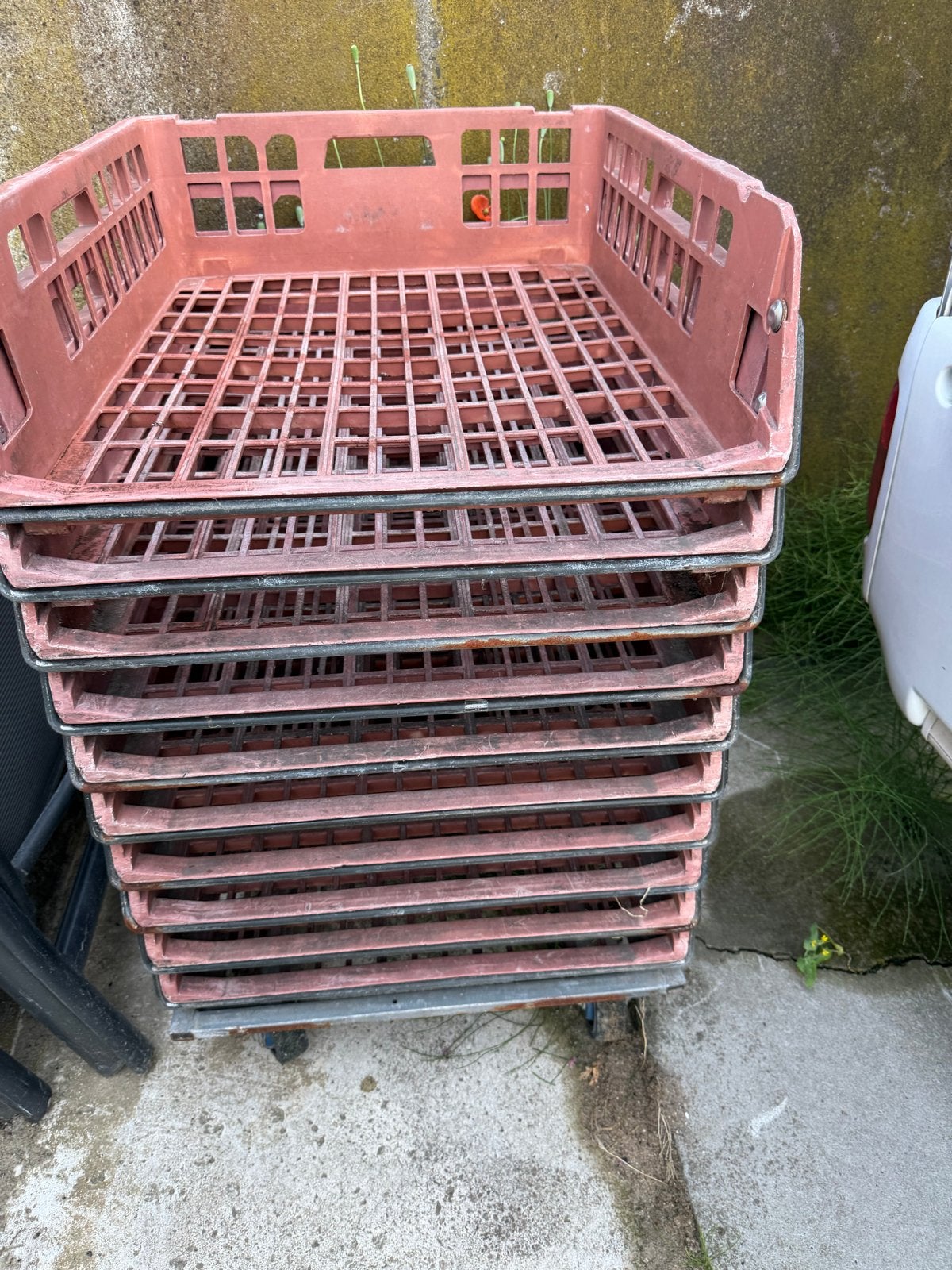 Stapelbare broodkratten ideaal voor opslag, Doe-het-zelf en Verbouw, Kratten en Dozen, Gebruikt, 40 tot 60 cm, 50 tot 75 cm, Minder dan 35 cm