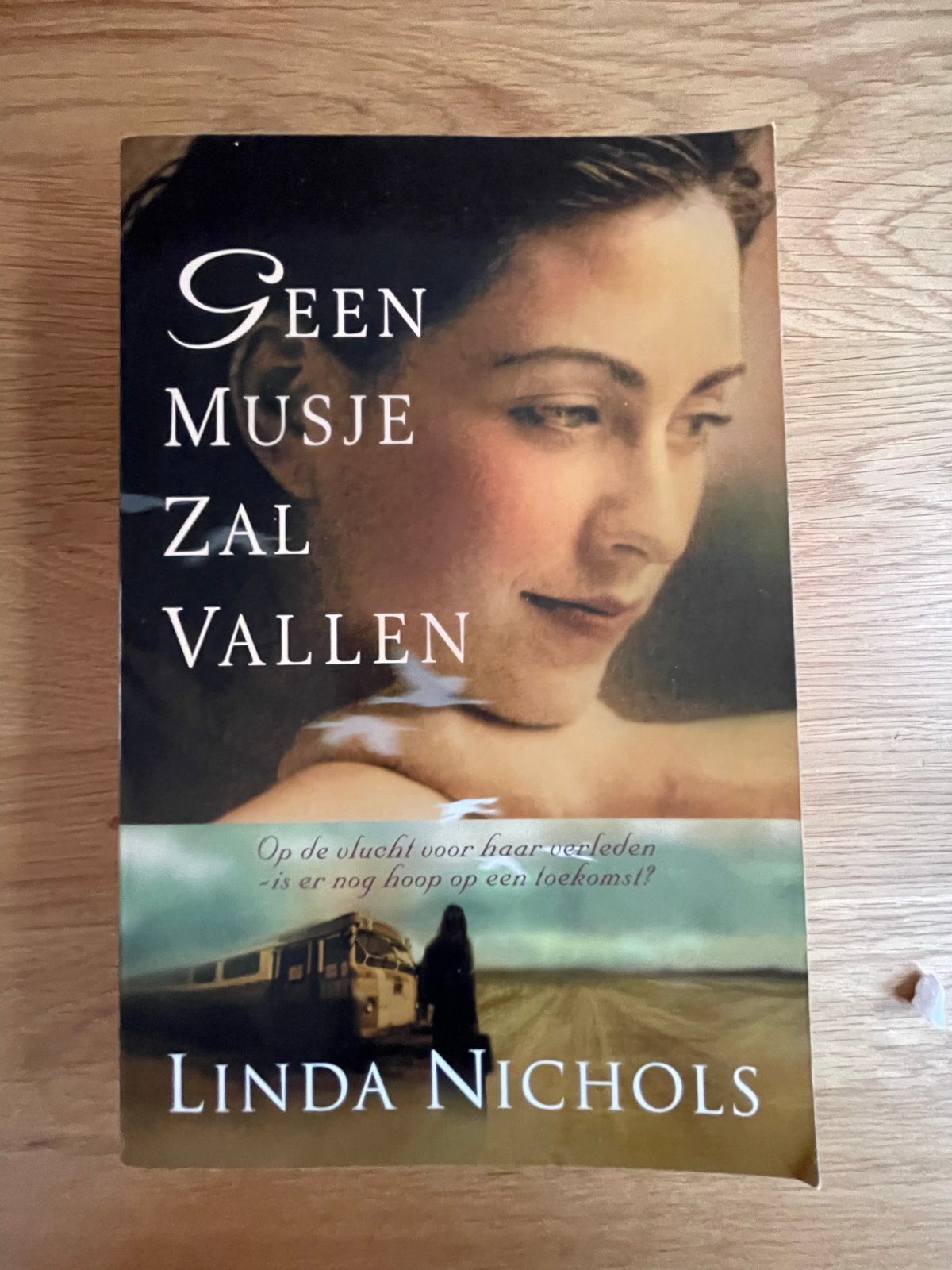 Geen Musje Zal Vallen - Linda Nichols (roman), Boeken, Ophalen of Verzenden, Zo goed als nieuw, Nederland