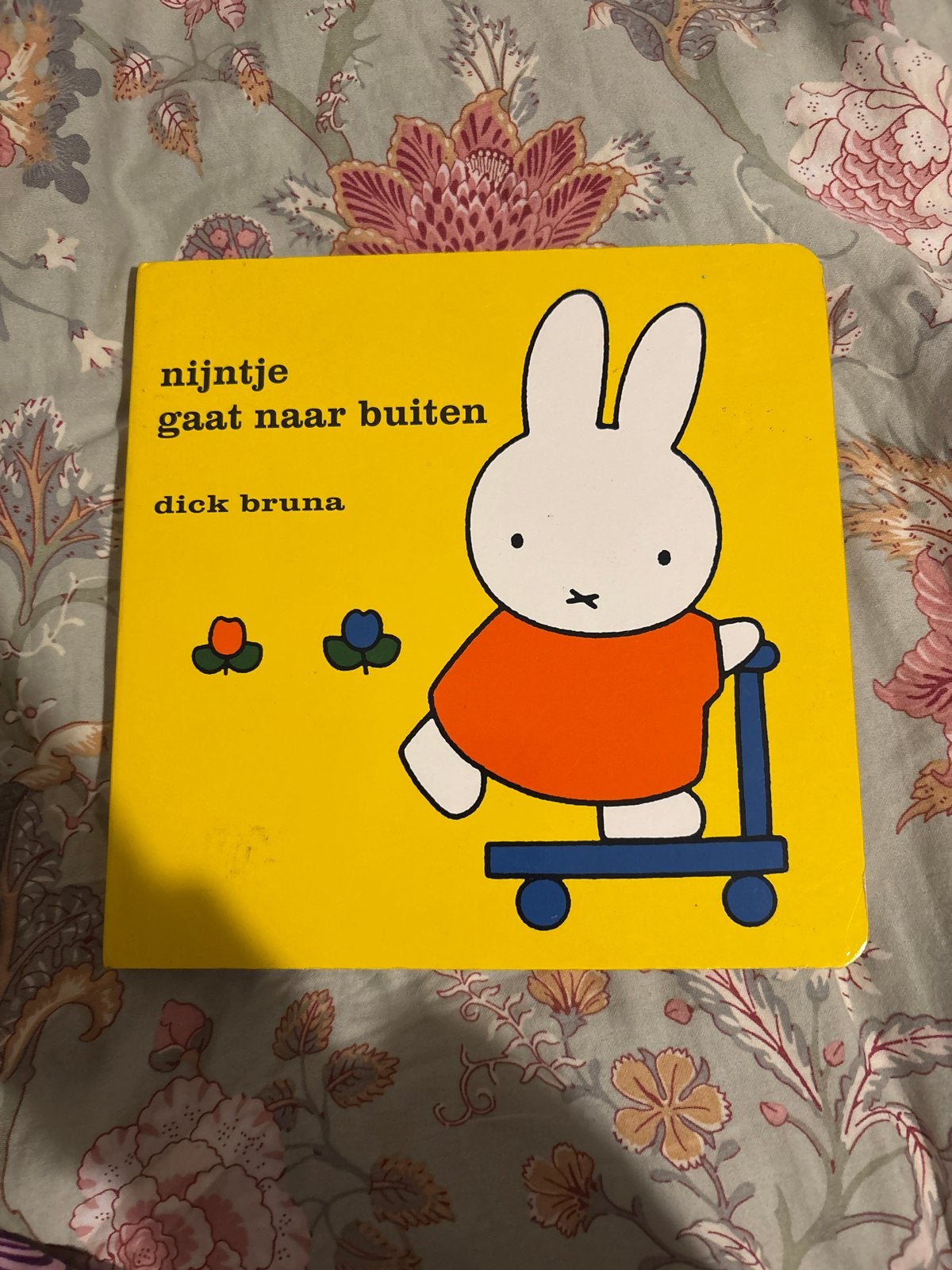 Nijntje gaat naar buiten - Dick Bruna (Boek), Ophalen of Verzenden, Zo goed als nieuw, 0 tot 6 maanden