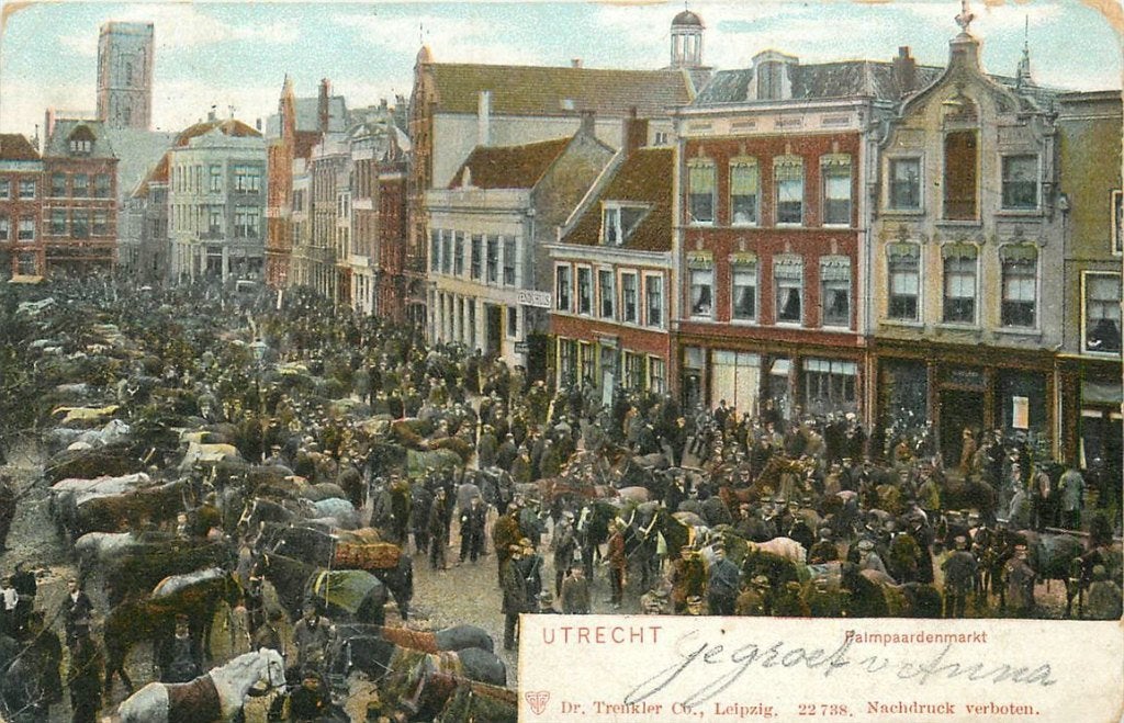 701-376-009 Utrecht Palmpaardenmarkt, Verzamelen, Ophalen of Verzenden, Voor 1920, Utrecht