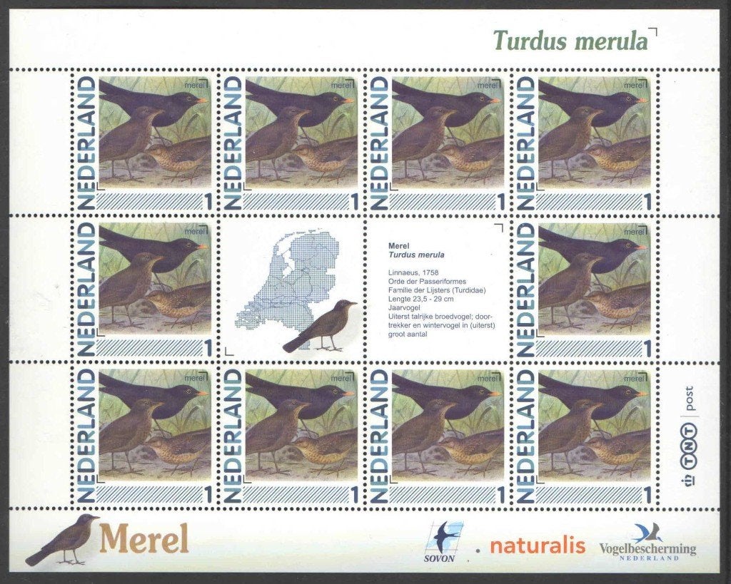Postzegels Vogels in Nederland: Merel, Ophalen of Verzenden, Na 1940, Postfris