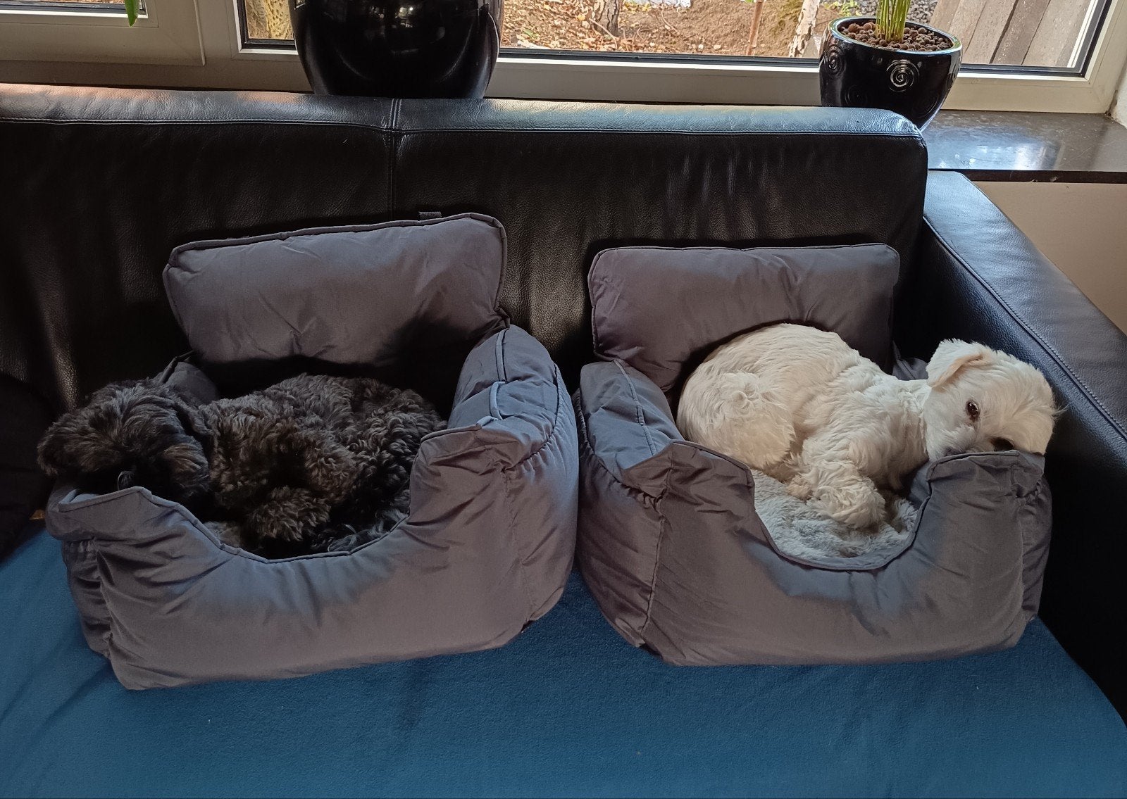 Autoreismand zitje voor hond (Nieuw), Overige merken, Ophalen of Verzenden, Nieuw, Hondenautostoel